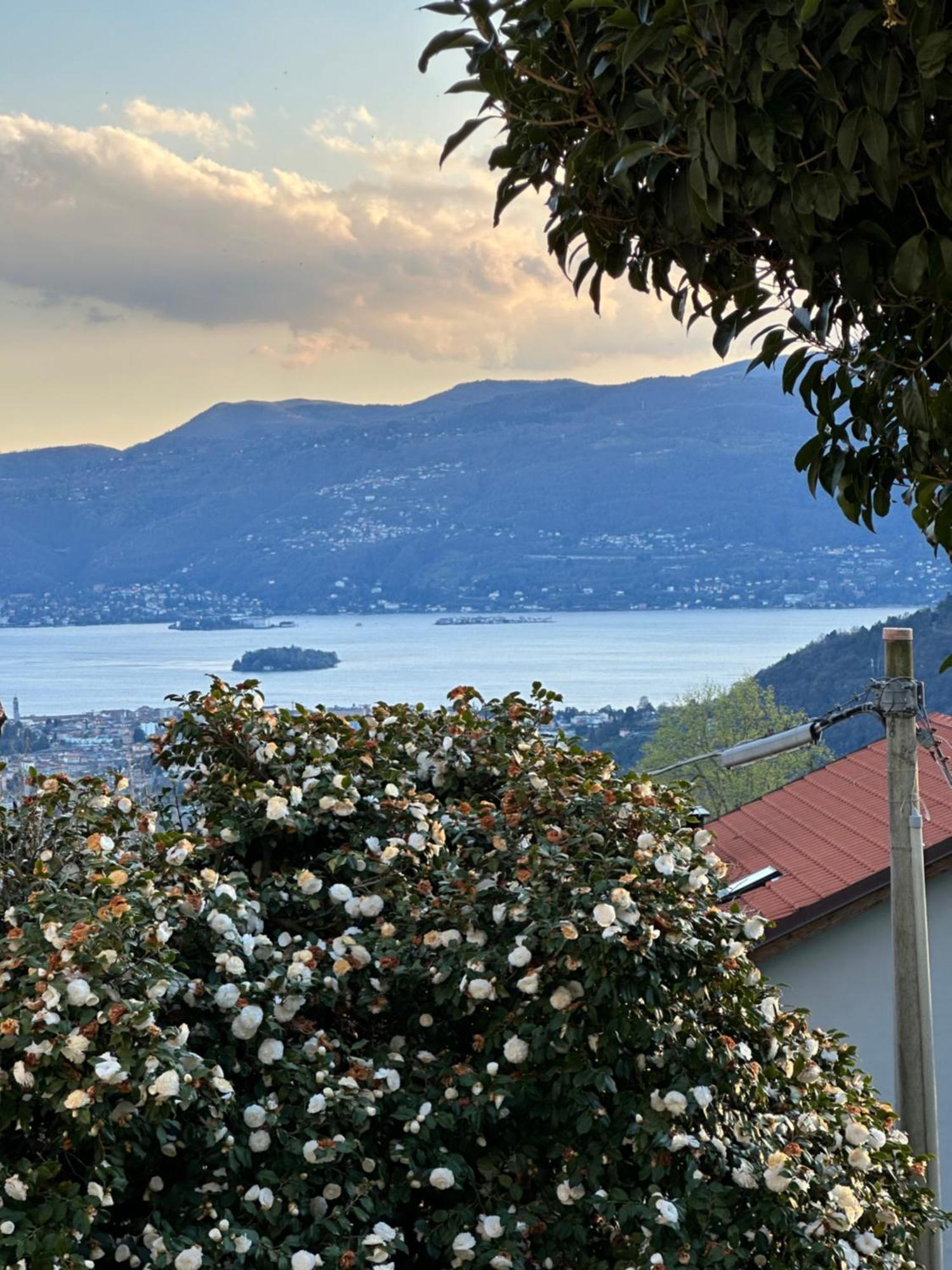 Villa Simonetta Bee Zewnętrze zdjęcie